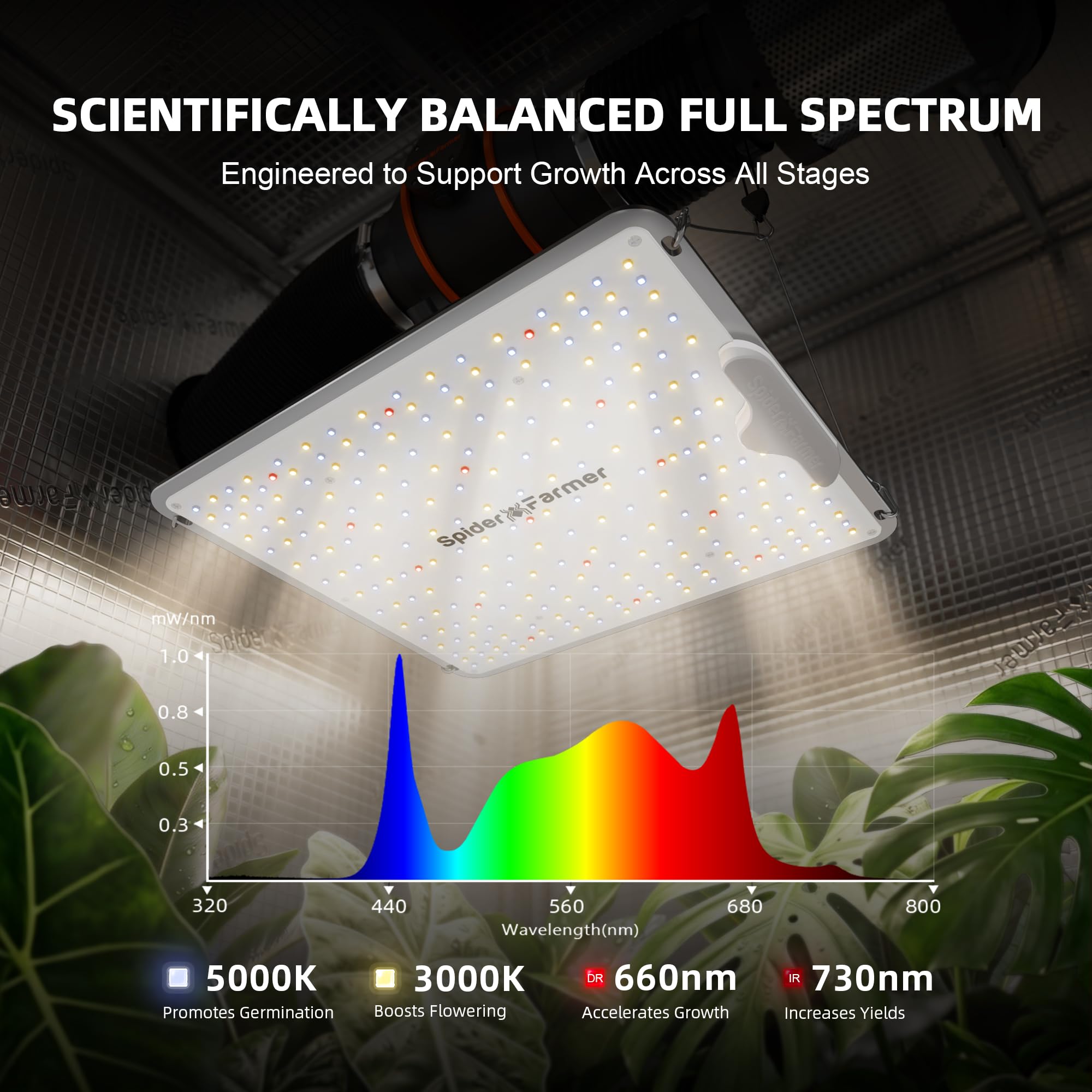 Amazon.com : Spider Farmer SF1000 100W LED Grow Light for Indoor